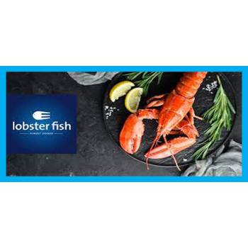 Lobster Fish